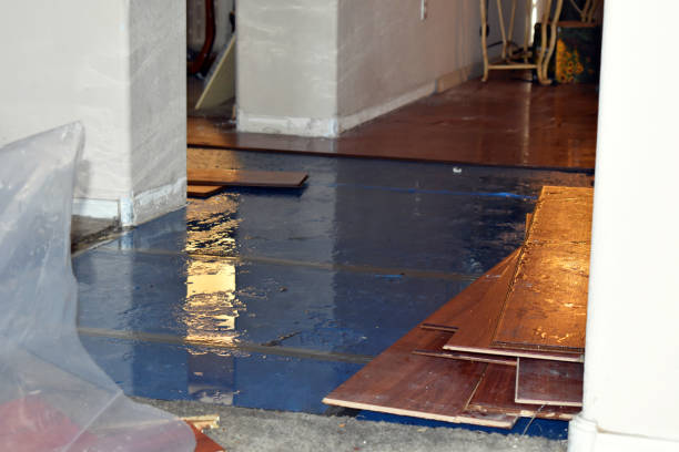 Professional Water Damage Restoration technician working in Newberry, FL